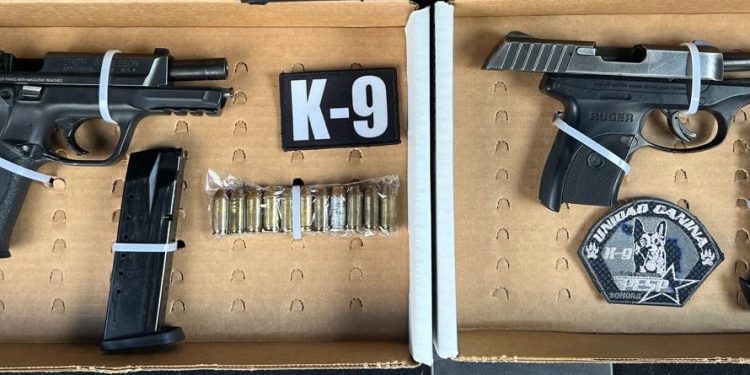 Binomios caninos del Gobierno de Sonora interceptan a personas armadas.