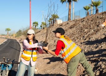 Gobierno de Sonora reforesta Bosque Urbano La Sauceda con apoyo ciudadano.