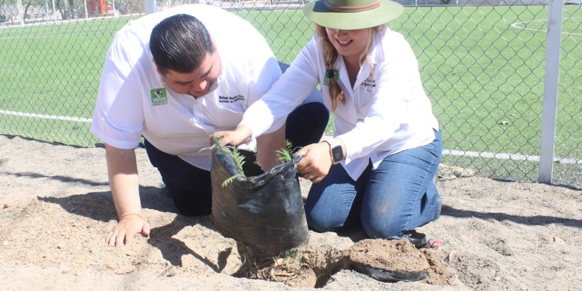 Activa Partido Verde jornadas de limpieza y reforestación en Hermosillo.