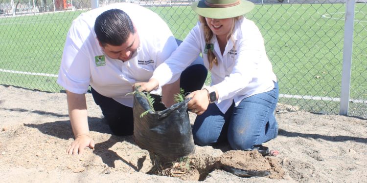 Activa Partido Verde jornadas de limpieza y reforestación en Hermosillo.
