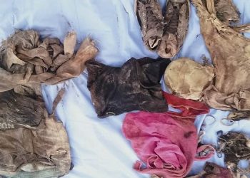 Hallazgo de osamentas en cuatro fosas reporta Colectivo Guerras Buscadoras de Cajeme; FGJE ya investiga.