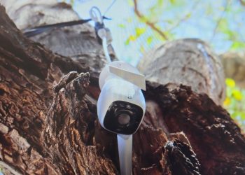 Aseguran en cateo al norte de Hermosillo narcóticos y videocámaras.