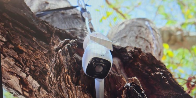 Aseguran en cateo al norte de Hermosillo narcóticos y videocámaras.