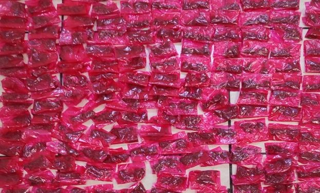 Genera Gobierno de Sonora resultados contra el narcomenudeo en Hermosillo.