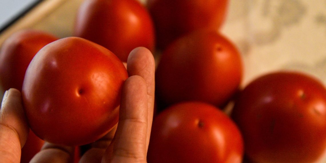 México deberá pagar arancel de 17% a EU por jitomate, confirma Economía.