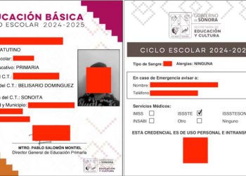 Hacker sitio yoremia.gob.mx y filtra 366 expedientes de niños de primaria en Nogales, Sonora tras ataque masivo a escuelas.