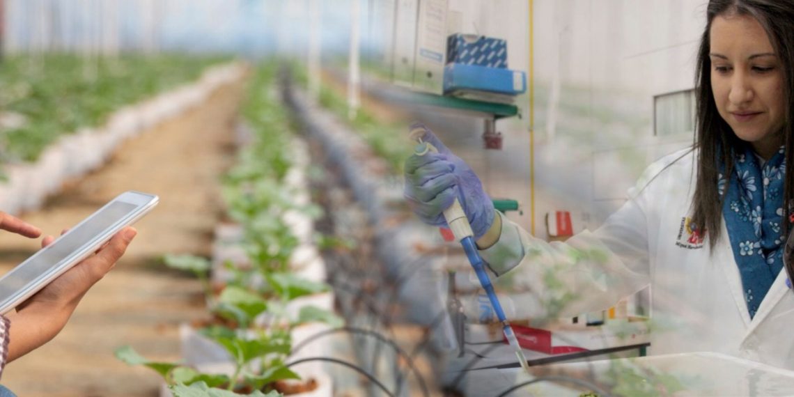 Elicitación de cultivos puede mejorar calidad alimentaria y reducir pérdidas: Unison.