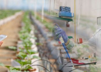 Elicitación de cultivos puede mejorar calidad alimentaria y reducir pérdidas: Unison.