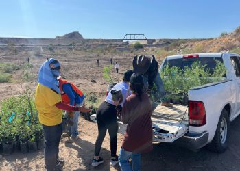 Inician trabajos de reforestación en el polígono “La Oreja” del Bosque Urbano La Sauceda.