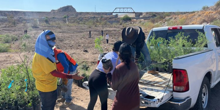 Inician trabajos de reforestación en el polígono “La Oreja” del Bosque Urbano La Sauceda.