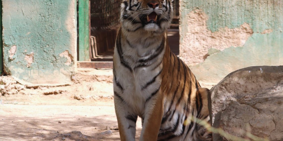 Invitan a disfrutar un verano educativo y natural en el Centro Ecológico de Sonora.