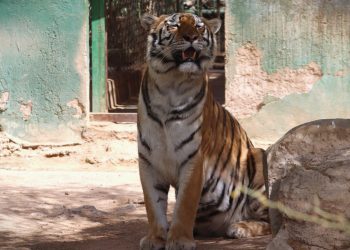Invitan a disfrutar un verano educativo y natural en el Centro Ecológico de Sonora.