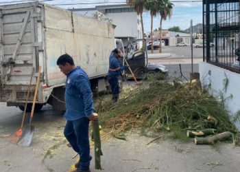 Mantiene la Dirección de Parques y Jardines sus tareas operativas y atención a la ciudadanía en vacaciones.