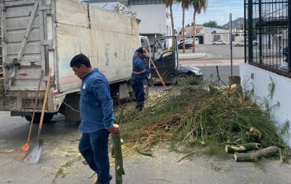 Mantiene la Dirección de Parques y Jardines sus tareas operativas y atención a la ciudadanía en vacaciones.