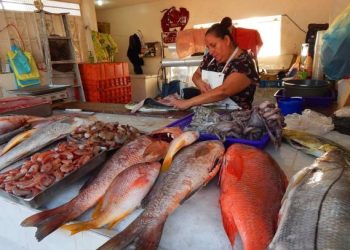 Invita SSP a consumir mariscos de forma segura durante la temporada de calor.