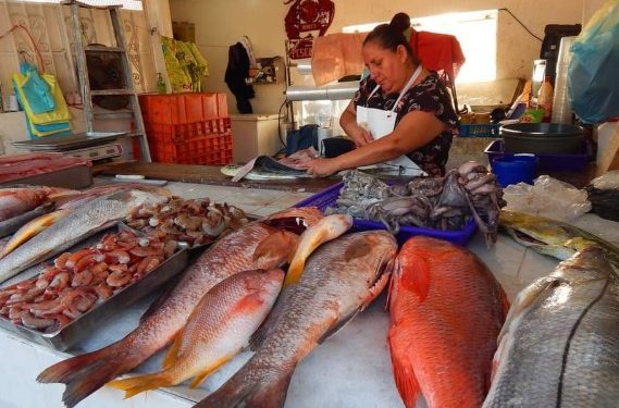 Invita SSP a consumir mariscos de forma segura durante la temporada de calor.