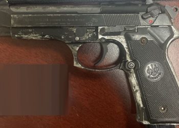 Binomios caninos aseguran arma de fuego y detienen a persona por violencia familiar.