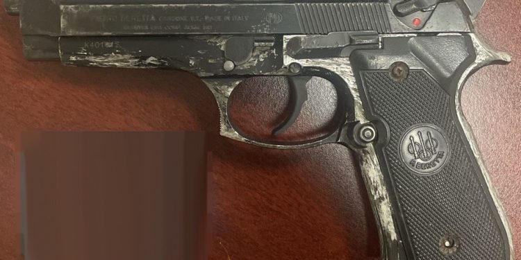 Binomios caninos aseguran arma de fuego y detienen a persona por violencia familiar.