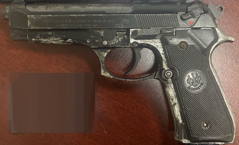 Binomios caninos aseguran arma de fuego y detienen a persona por violencia familiar.