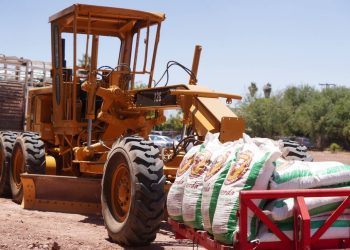 Sonora logra expansión histórica de programas sociales del Bienestar rural