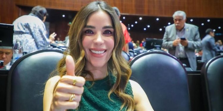 Diputada Diana Karina Barreras acusa revictimización: “resistiré cualquier intento de silenciarme”.