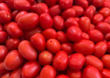 Productores mexicanos de jitomate solicitan prórroga de 60 días a Estados Unidos para evitar imposición de cuota compensatoria.