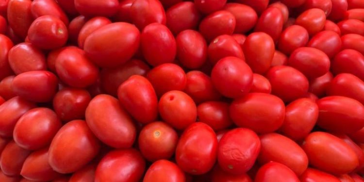 Productores mexicanos de jitomate solicitan prórroga de 60 días a Estados Unidos para evitar imposición de cuota compensatoria.