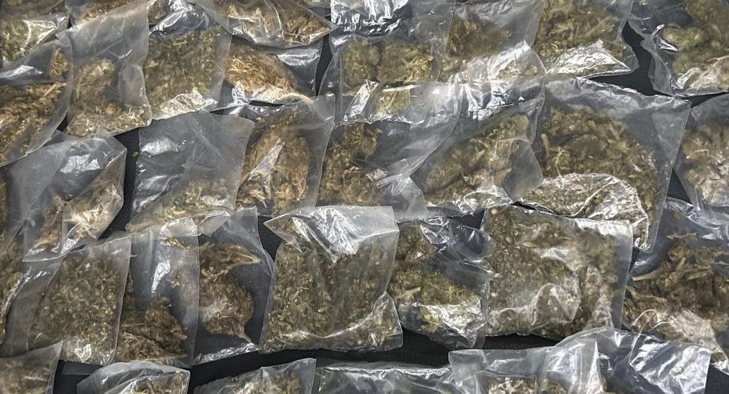 Más de 50 mil dosis de narcótico asegurado en operativos del Gobierno de Sonora en municipios.