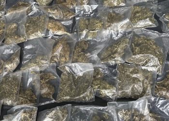 Más de 50 mil dosis de narcótico asegurado en operativos del Gobierno de Sonora en municipios.