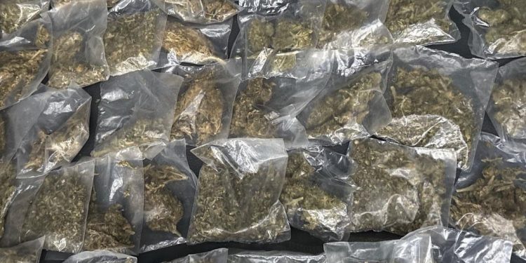 Más de 50 mil dosis de narcótico asegurado en operativos del Gobierno de Sonora en municipios.