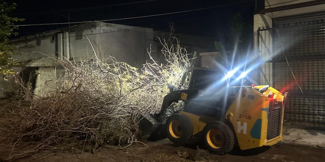 Atiende Protección Civil Municipal 35 reportes por fuertes vientos en Hermosillo.