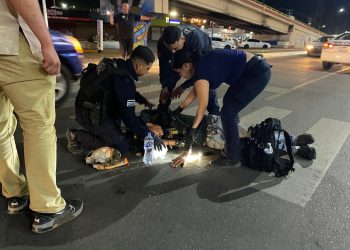 Registra Gobierno de Sonora más de 54 mil envoltorios de narcótico asegurados en operativo de la Policía Estatal.