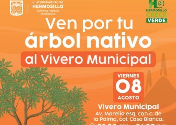 Tendrá Ayuntamiento de Hermosillo jornada de entrega de árboles nativos este viernes.