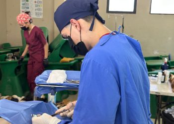 Brinda Gobierno de Sonora jornadas gratuitas de esterilización animal en Hermosillo.