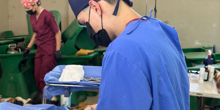 Brinda Gobierno de Sonora jornadas gratuitas de esterilización animal en Hermosillo.