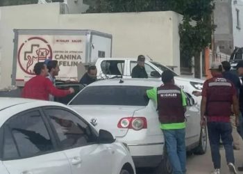 Descubren rastro clandestino de perros en Nogales; rescatan a 54 canes.