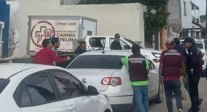 Descubren rastro clandestino de perros en Nogales; rescatan a 54 canes.