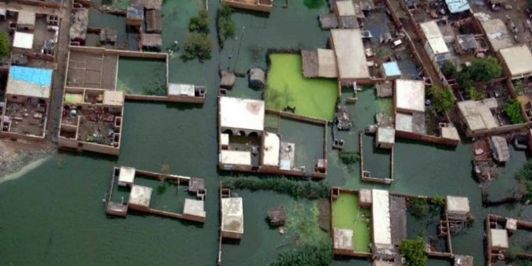 Supera los 700 la cifra de muertos en Pakistán por inundaciones; continúa búsqueda de más de un centenar de desaparecidos.