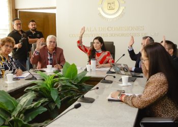 Aprueban en comisión reforma a la Ley de Salud.