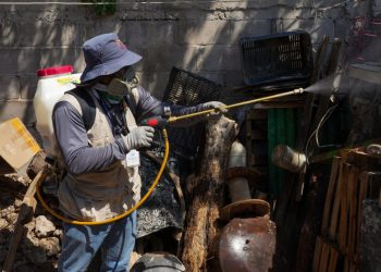 Intensifica Salud Sonora acciones de control del dengue en el estado