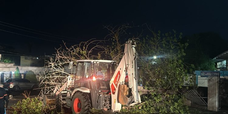 Atendió Gobierno de Hermosillo 55 reportes tras tormenta del sábado.