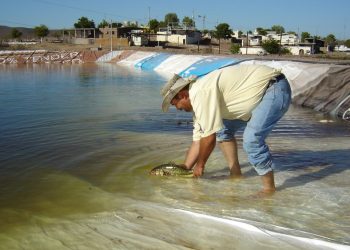 Foro de Acuacultura Sonora 2025