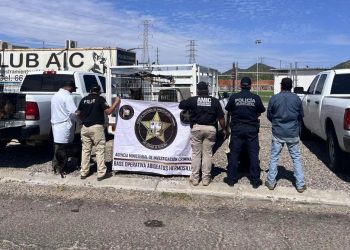 Asegura AMIC 30 caninos en cateo en investigaciones por maltrato animal en Hermosillo