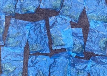 Incauta Policía Estatal 81 dosis de narcótico en el poblado Miguel Alemán