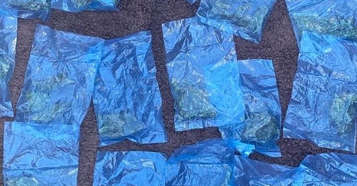 Incauta Policía Estatal 81 dosis de narcótico en el poblado Miguel Alemán