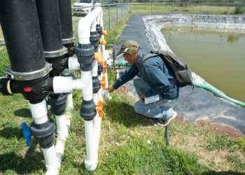 SADER abre ventanillas para el Programa Especial de Energía para el Campo; en Sonora beneficia a más de 23 mil productores