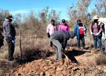 Un solo grupo criminal sería responsable de los 60 cuerpos hallados en carretera de Costa de Hermosillo; todas las víctimas eran de Sonora, confirma Fiscalía.