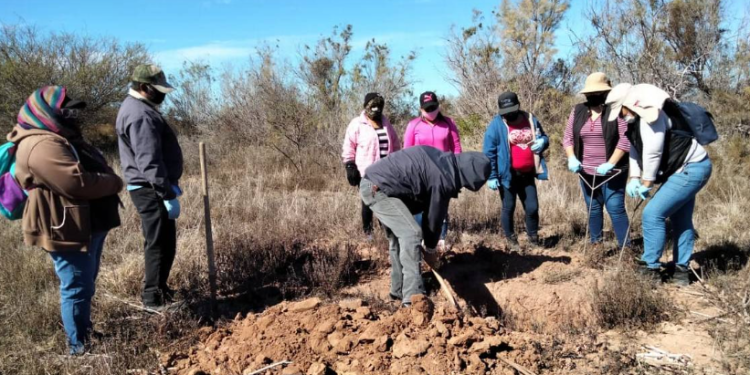 Un solo grupo criminal sería responsable de los 60 cuerpos hallados en carretera de Costa de Hermosillo; todas las víctimas eran de Sonora, confirma Fiscalía.