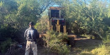 Ejecuta AMIC orden de aprehensión por robo de maquinaria en Ciudad Obregón