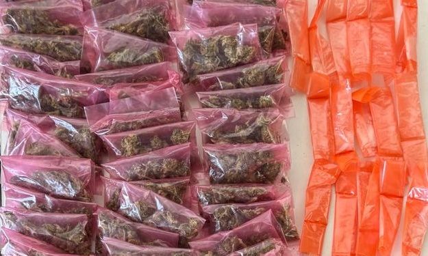 Incauta Policía Estatal más de 200 envoltorios de narcótico en acciones contra el narcomenudeo en Hermosillo